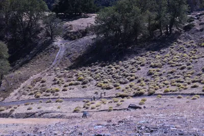 DSC_2255 (Large).JPG